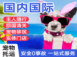 揭阳潮汕空运代理国际宠物托运 【国